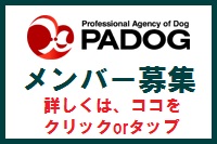 PADOGメンバー募集200.jpg